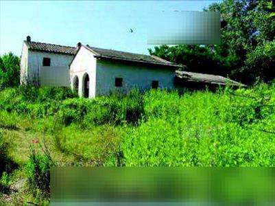 Foto Rustico/Casale in Vendita, pi� di 6 Locali, 634 mq, Vecchiano