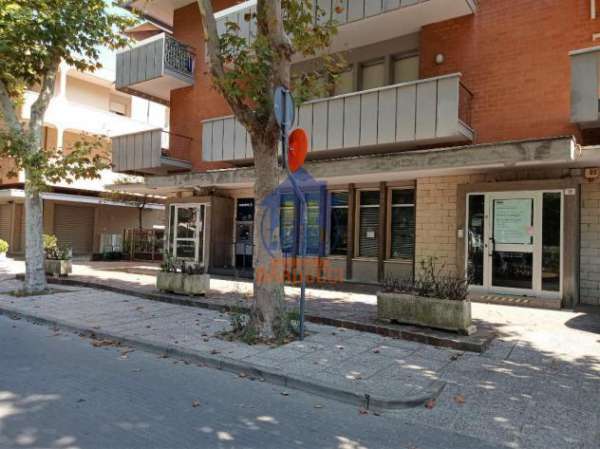 Foto San Mauro Mare ampio immobile commerciale