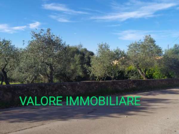 Foto SASSARI LOCALITA' LA LANDRIGGA