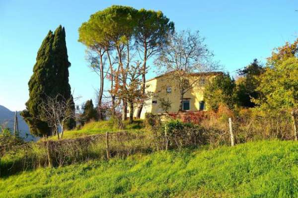 Foto Scarperia (Sant'Agata) - Colonica con giardino