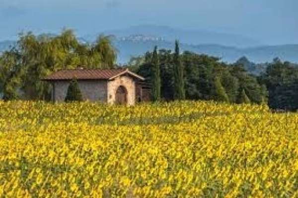 Foto SCARPERIA SAN PIERO A SIEVE PORZ COLONICA 5 VANI
