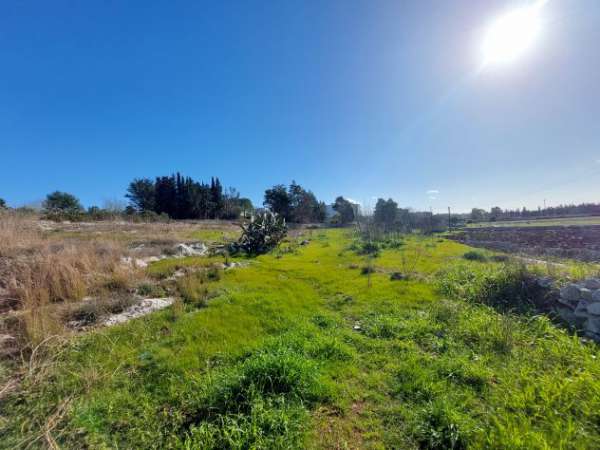 Foto Scorrano immobile in campagna con terreno di 4800 mq 60000 trattabili