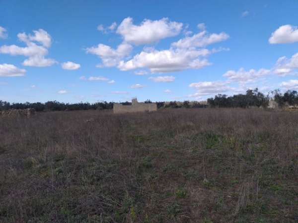 Foto Scorrano immobile in campagna con terreno di 5250 mq 25000 trattabili