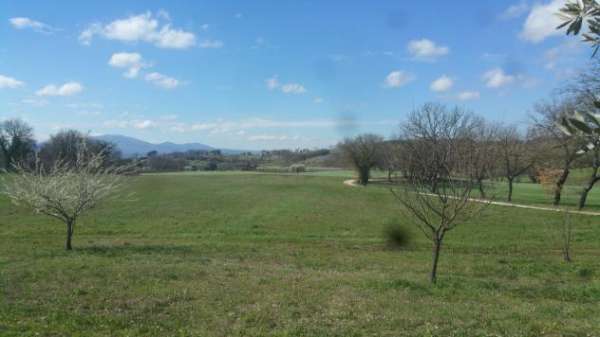 Foto Seminativo in vendita a Lugnano in Teverina