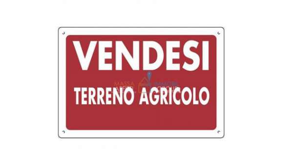 Foto Seminativo in vendita a Massa