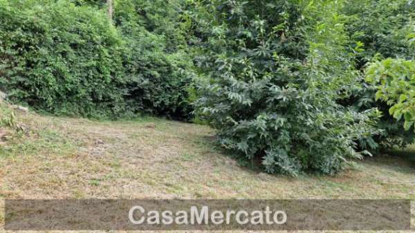 Foto Seminativo in vendita a Rocca di Papa