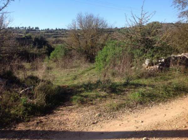 Foto Seminativo in vendita a Siracusa