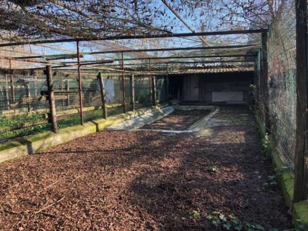 Foto Soliera vendesi magazzino 400 Mq