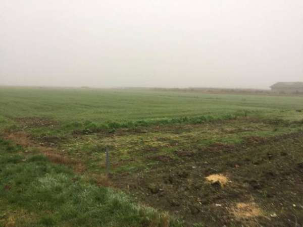 Foto Soliera vendesi terreno agricolo 36300 Mq