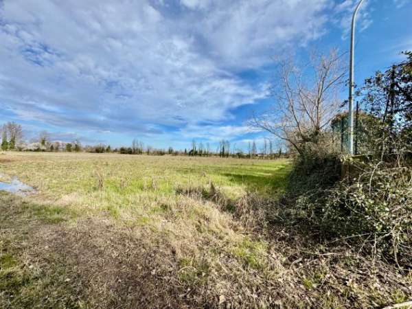 Foto Spinea area agricola