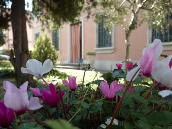Foto Suzzara vendesi casa indipendente 8 vani 330 Mq