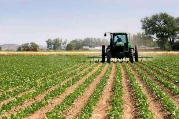 Foto terr agr capa 72 - Terreno Agricolo a Capannori - Capannori centro
