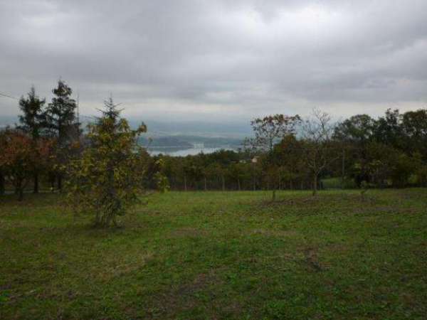 Foto terr bor 25 - Terreno Agricolo a Capannori - Gragnano