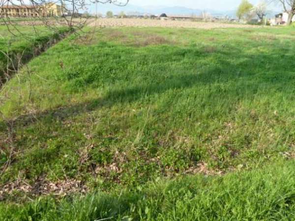 Foto Terr edif porc 100 - Terreno Edificabile a Porcari