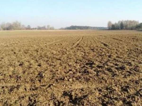 Foto Terra da Impiantare ... e Altro