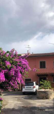 Foto Terratetto in vendita a Colignola - San Giuliano Terme 95 mq  Rif: 1265053