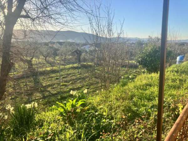 Foto Terratetto in vendita a Molicciara - Castelnuovo Magra 150 mq  Rif: 1302691