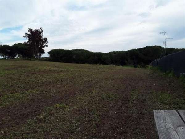 Foto Terreno - Via Di Torricola