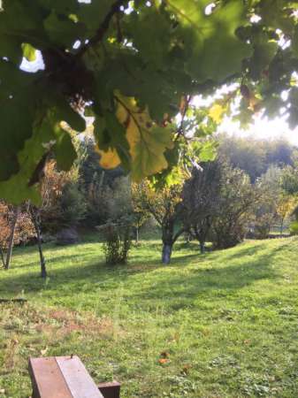 Foto Terreno