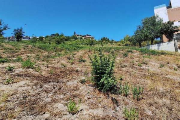Foto Terreno a Ancona - Rif. 24125