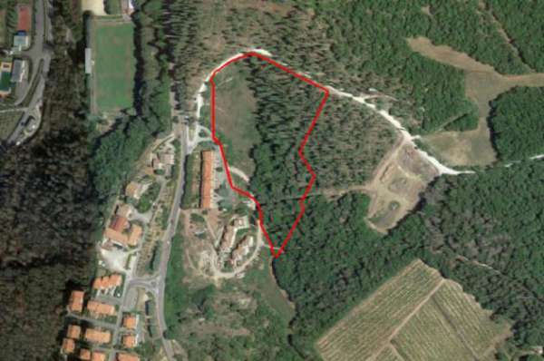 Foto Terreno a Castellina In Chianti - Rif. 3510