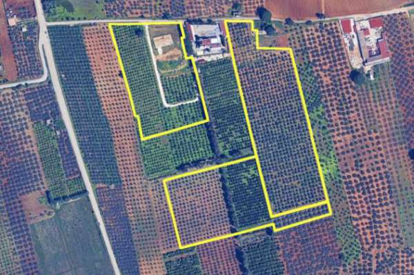 Foto Terreno a Castelvetrano - Rif. 2516000