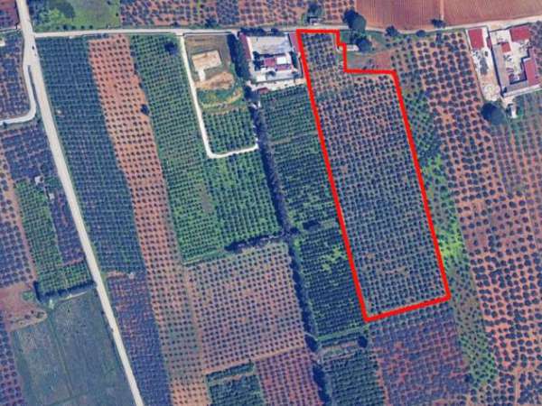 Foto Terreno a Castelvetrano - Rif. 25845