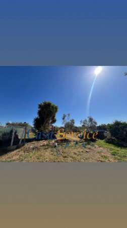 Foto Terreno a pochi minuti da Gallipoli