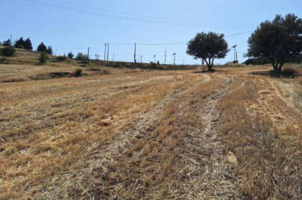 Foto Terreno a Regalbuto - Rif. 23599