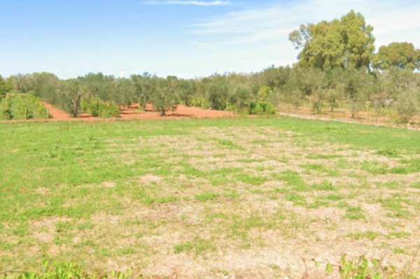 Foto Terreno a Supersano - Rif. 20878