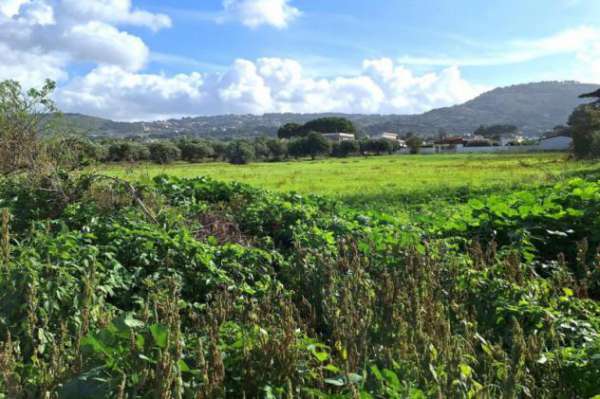 Foto Terreno a Valderice - Rif. 24972