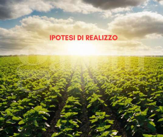 Foto Terreno Agricolo - Chioggia . Rif.: 3502VRG