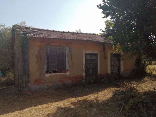 Foto Terreno Agricolo - Sezze . Rif.: SE261VRG