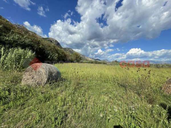Foto Terreno Agricolo - Terracina . Rif.: Cod. rif 3176012VRG
