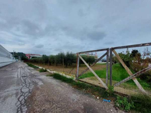 Foto Terreno Agricolo - Tortoreto . Rif.: Cod. rif T108VRG