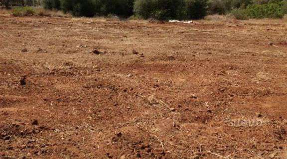 Foto Terreno Agricolo