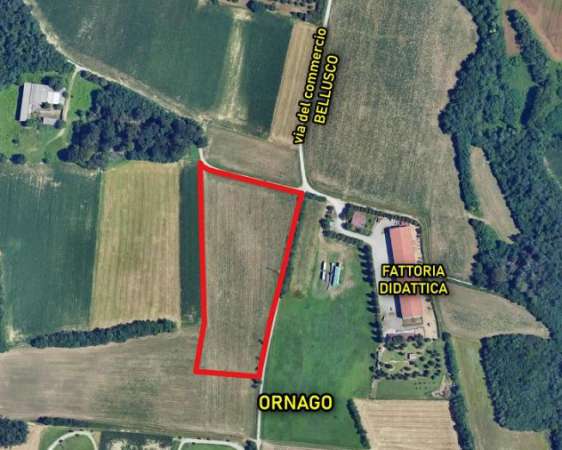 Foto Terreno agricolo