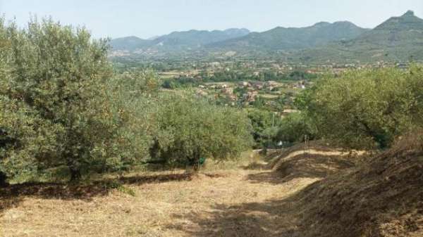 Foto Terreno Agricolo