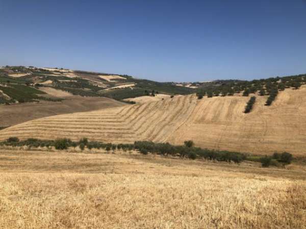 Foto TERRENO AGRICOLO A COLLEPIZZUTO VASTO