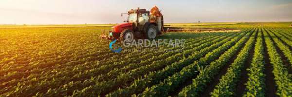Foto TERRENO AGRICOLO A SALO'