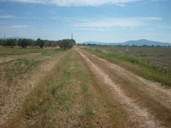 Foto Terreno agricolo alla Rugginosina - GROSSETO-