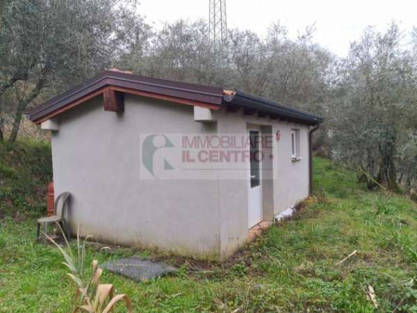 Foto Terreno agricolo con ricovero attrezzi