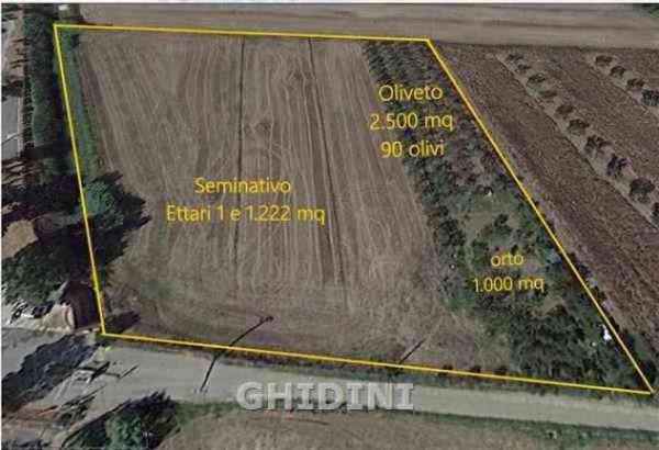 Foto TERRENO AGRICOLO di 1 vani e di 14722 mq (GROSSETO - GORARELLA) rif. 2200.332M