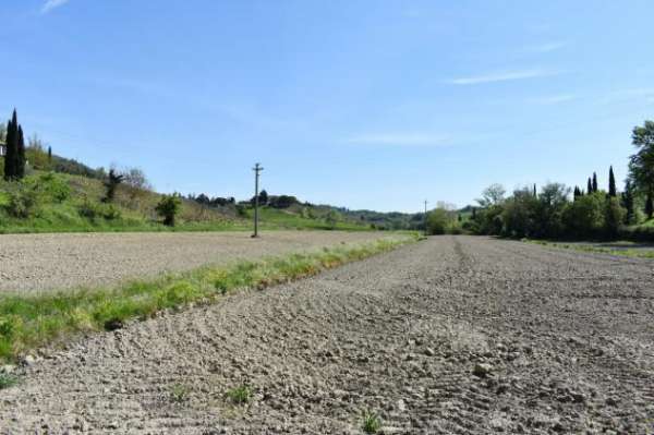 Foto TERRENO AGRICOLO di 1 vani e di 23490 mq (CASTELFIORENTINO) rif. C 225