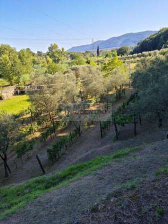 Foto Terreno agricolo di 13.000 mq.