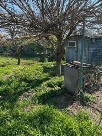 Foto TERRENO AGRICOLO di 450 mq (CAMPIGLIA MARITTIMA) rif. 12-335