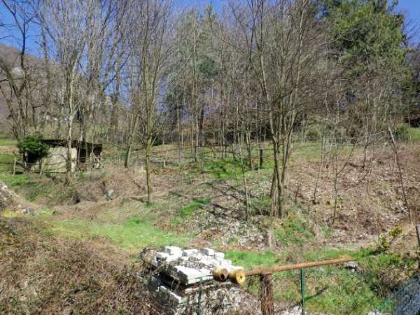Foto Terreno agricolo di 700 mq con capanno in legno