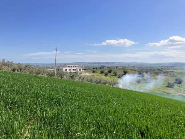 Foto Terreno agricolo in buona posizione