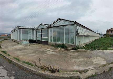 Foto Terreno Agricolo in Vendita, 1 Locale, 1000 mq, Albenga