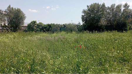 Foto Terreno Agricolo in Vendita, 1 Locale, 1050 mq, Roma (Casilina/